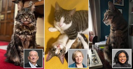 Parliament’s largest political quarrel begins as claws are bared