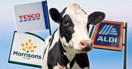 Boycott of Dairy Products Containing Controversial Ingredient