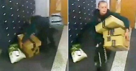 Woman Apprehended for Theft of Amazon Packages from Apartment Building