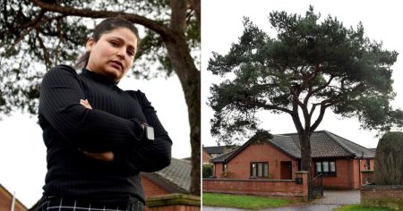 Council Denies Request for Tree Removal Based on Homeowner’s Allergy Claim