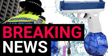 Police Pursuit of Teenager with Water Pistol Deemed Reasonable