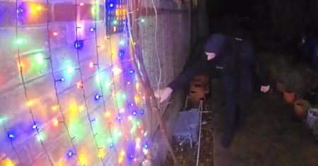 Police Investigate Theft and Vandalism of Holiday Decorations