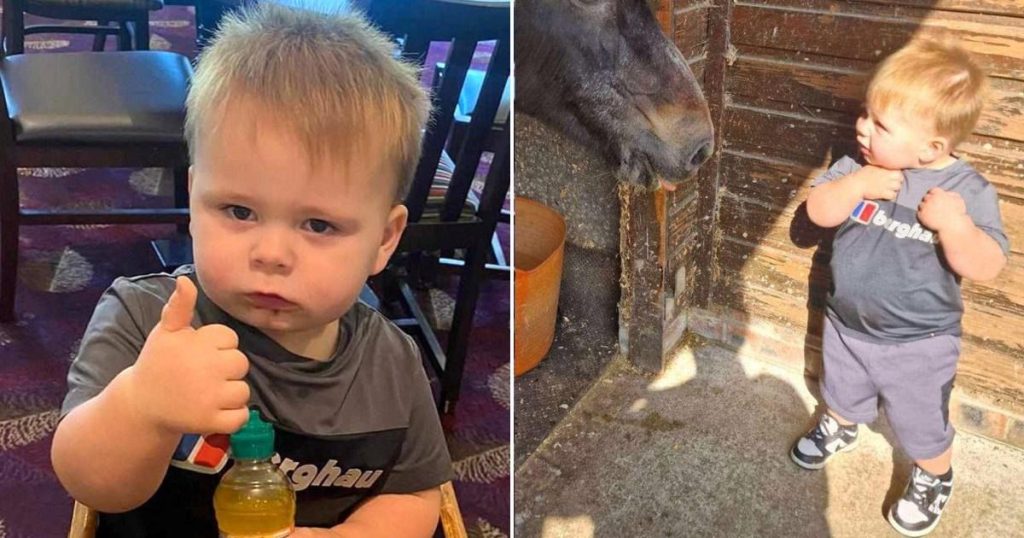 Toddler Fatally Injured by Falling Fireplace