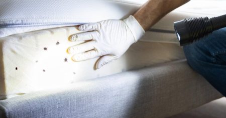 London hospitals plagued by bed bugs over 500 times in 7 years