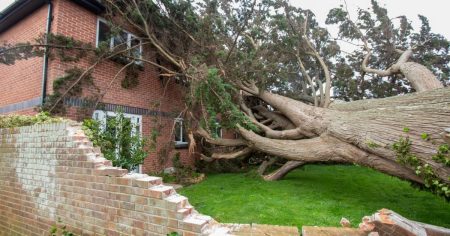 Met Office Red Weather Warning Explained: Understanding the Rare Designation Amidst Storm Darragh’s Impact on the UK