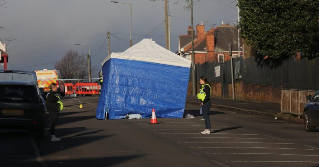 Seven Arrested Following Fatal Street Stabbing of Teenager