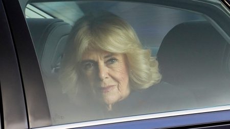 Queen Camilla’s Diagnosis: The 13 Symptoms of Pneumonia You Should Never Ignore