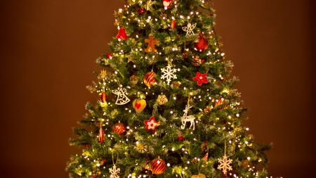 20% of people plan to increase their Christmas spending this year