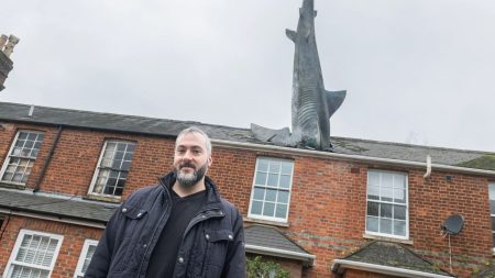 Homeowner Lists Four-Bedroom Property with Roof-Embedded Shark Despite Airbnb Ban.