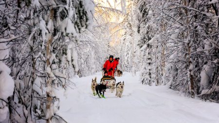 An Affordable Family Christmas Bucket List Holiday