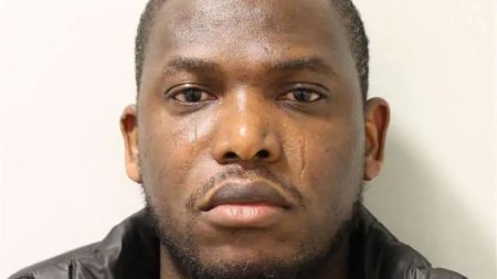 Conviction and Deportation Challenge: Concerns Raised Over IVF Access for Spouse.