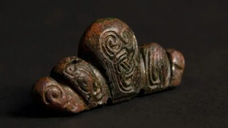 Rare Viking sword from the 10th century with unique animal carvings discovered by metal detectorist