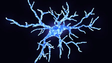 Potential Alzheimer’s Treatment Offers Hope of Disease Reversal.