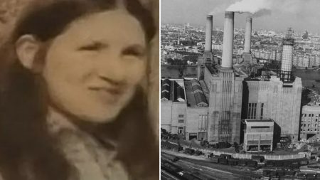 Key Clue Emerges in Cold Case of “Girl in Yellow Dress” Homicide