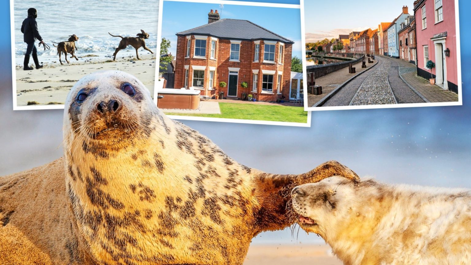 Seal Spotting and Pet-Friendly Sandy Beaches in a Picturesque English Coastal Village