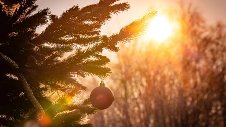 Unseasonably Mild Temperatures Predicted for a Snowless Christmas in the UK