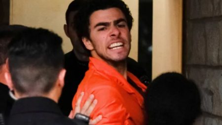 Online Fundraiser Yields $67,000 for CEO Luigi Mangione Following Alleged Assault.