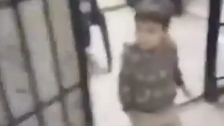 Syrian Rebels Free Toddler Among Thousands Released from Assad Regime Prisons