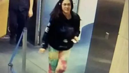 Family fears missing Hannah Kobayashi is a victim of a green card scam marriage plot after CCTV footage emerges in the case