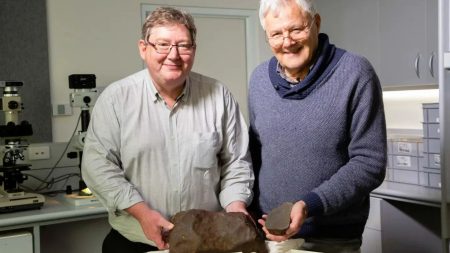 Fortunate treasure hunter mistakenly hoarded ‘gold’ for years, only to discover it was a 4.6 billion-year-old space rock