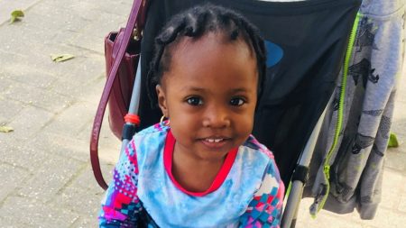 Toddler drowned in garden bin while left with stranger as mother visited sick son in hospital – The Sun