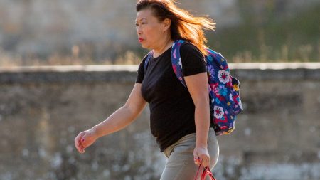 Individual Convicted for Harassment and Espionage-Related Activities