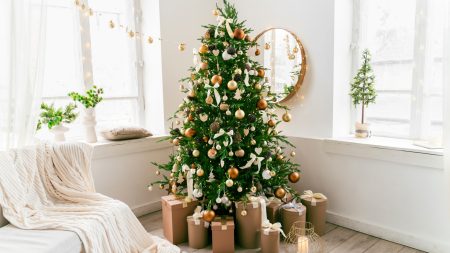 Avoid These Five Christmas Mistakes That Could Result in a £5,000 Fine, Including Bin Collection Regulations.