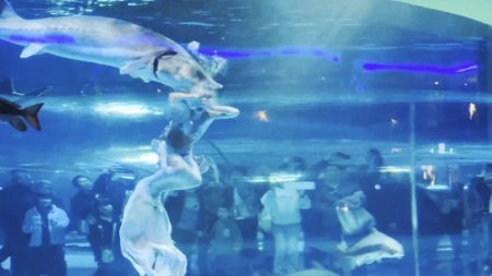 Aquarium Horror: Giant Fish Attacks Mermaid During Performance