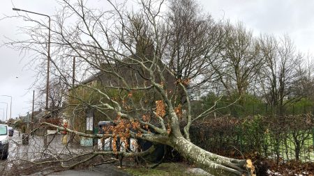 19-Year-Old Driver Fatality in Storm Eowyn: Second Teenage Casualty Resulting from Fallen Tree