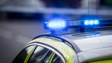Eight-Year-Old Girl Airlifted to Hospital Following Fatal Collision with Horse; Driver Arrested