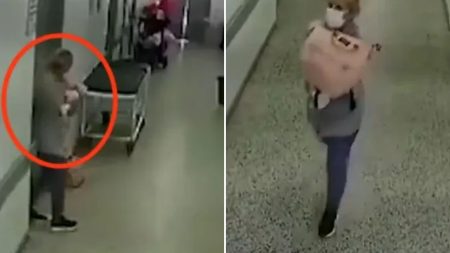 Suspect Impersonating Nurse Absconds from Hospital with Newborn Infant.