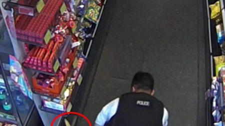 Police Officer Subdues Knife-Wielding Assailant at Petrol Station