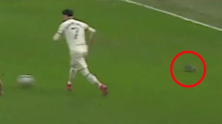 Bizarre moment an excited SQUIRREL joins the attack for Norwich goal – and fans ALL make same joke