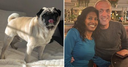 Machete gang raid RAF hero’s home and flee with pet dog and £20,000