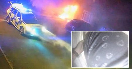 Hero cop runs into burning house to save woman after arson attack