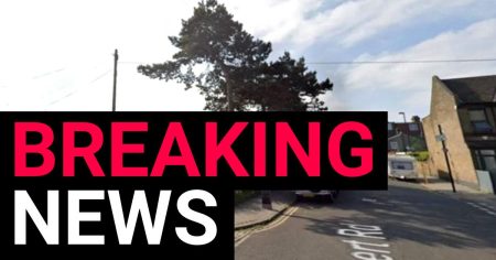 Man, 45, dies after reports of ‘child being assaulted’ in south London