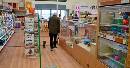 Popular pet shop with over 400 UK stores stops selling beloved animal