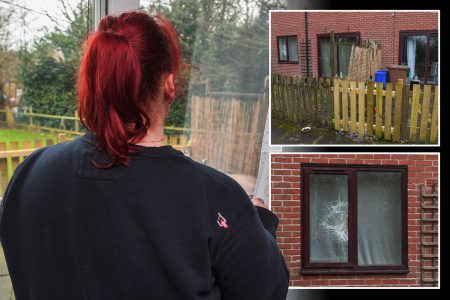 Our ‘nightmare’ naked neighbour called me SHREK & smashed up fence in row so wild he was arrested – but WON’T be evicted