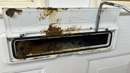 Moment mystery ‘neighbour from hell’ stuffs POO through letterbox & smears paint stripper over cars in ‘calculated’ plot