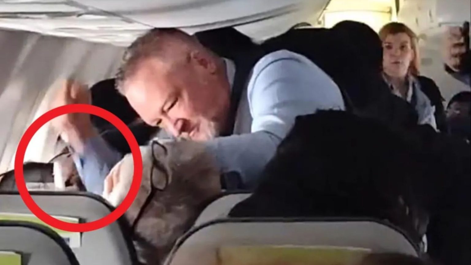 Terrifying moment ‘screaming’ plane passenger refuses to let go of woman’s hair as ‘hero’ flight attendant restrains him