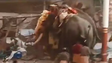 Terrifying moment two elephants go on rampage killing at least 3 & injuring 30 others after being spooked by fireworks