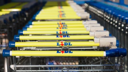 Lidl shoppers go wild for Jellycat dupes £22 cheaper than the originals hitting shelves tomorrow