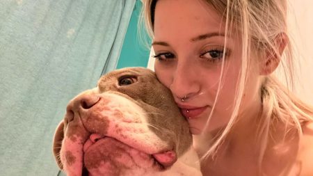 Owner of 8st ‘XL Bully’ dog who killed teenager in attack had been searching for trainer over ‘hyper-fixated’ behaviour