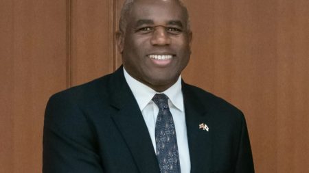 ‘Two-tier’ justice plan to give softer sentences to criminals from minority groups was David Lammy’s idea