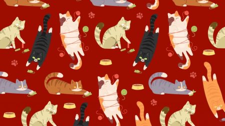 Everyone can see the cute cats – but you have 20/20 vision & high IQ if you spot the fish in 12 seconds