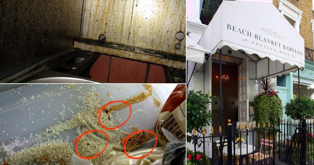 Posh London restaurant fined £31,000 after dead mouse found in kitchen