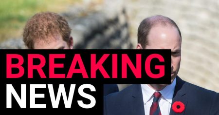 Prince William and Harry’s cousin, 20, found dead ‘with gun nearby’