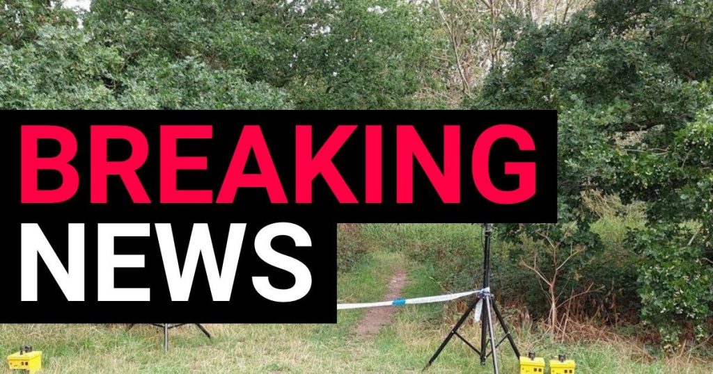Body found inside underground cave in Hangman’s Woods, Essex