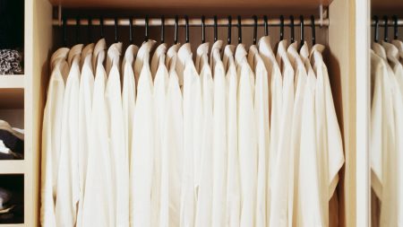 Aldi is selling £14.99 tool that banishes creases & transforms your clothes in seconds – plus is half of Philips’ price