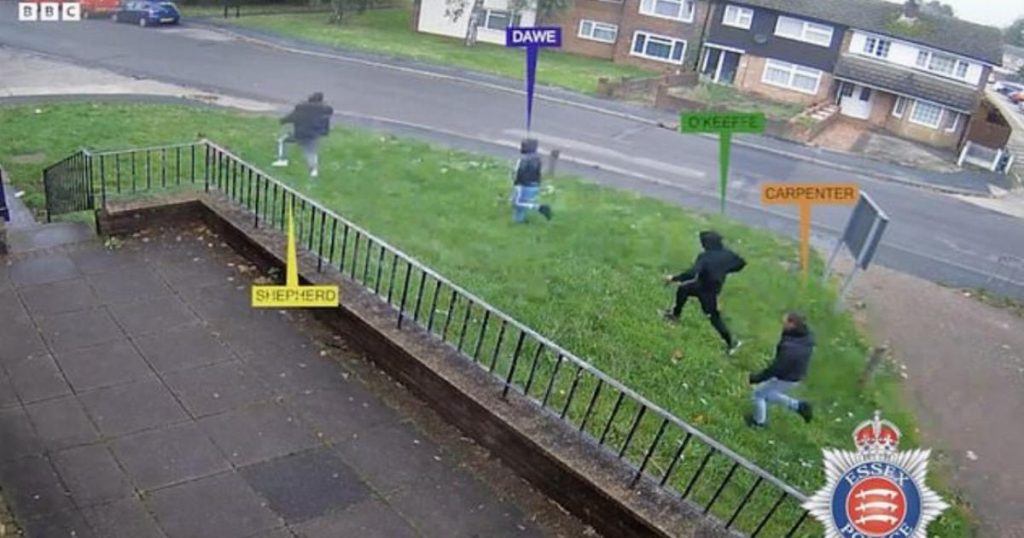 Dog walker chased by gang of three before being stabbed to death